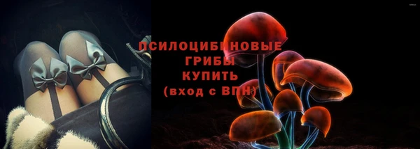 соль курить ск Алзамай