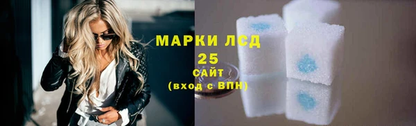 крисы Новодвинск