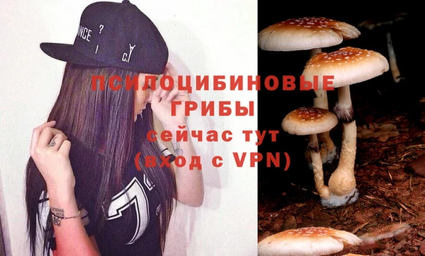 спайс Алексеевка